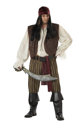 Rogue Pirate Plus Size Adult Costume