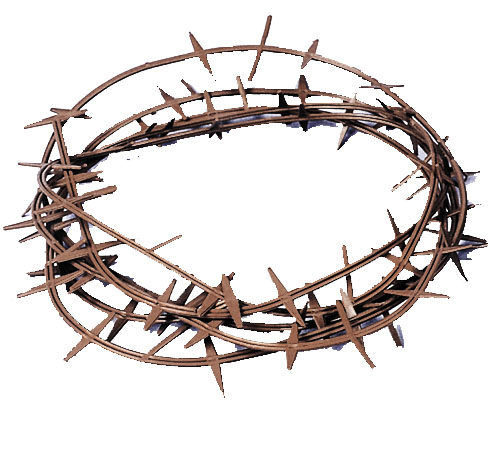 Crown Of Thorns