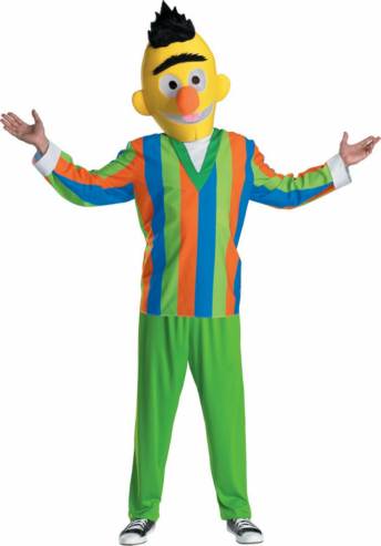 Sesame Street Bert Teen Costume