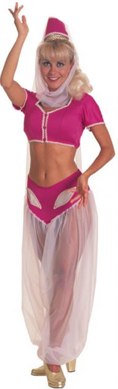 I Dream of Jeannie Costume