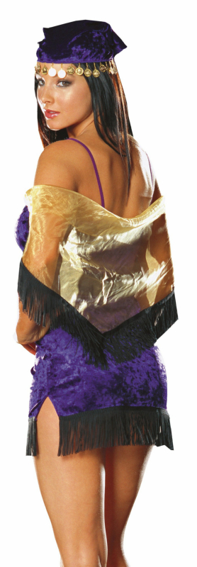 Enchanting Fortune Teller Adult Costume