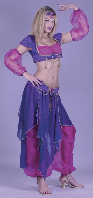 Belly Dancer Adult Costume