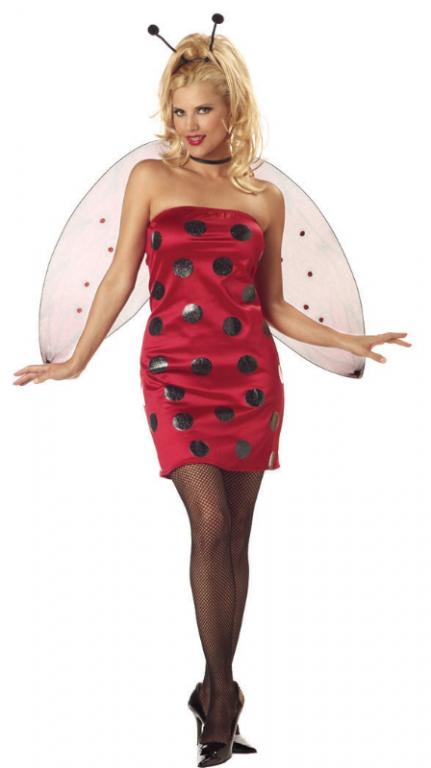 Lady Bug