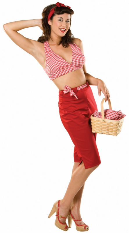 Picnic Pennie Adult Costume