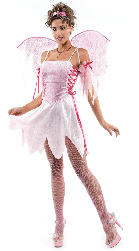 Blush Fairy Adult Costume