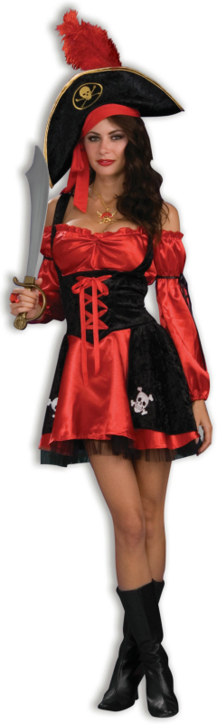 Racy Pirate Lady Adult Costume