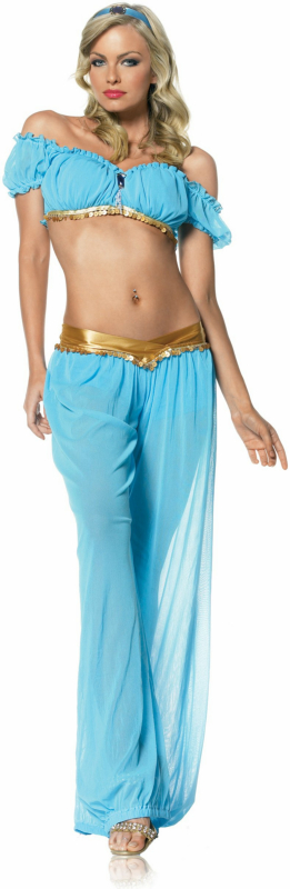 Arabian Princess Adult Costume