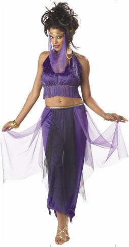 Belly Dancer Costume