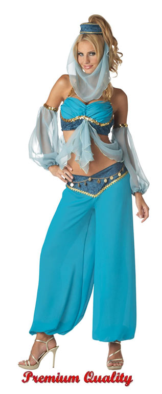 Harems Jewel Adult Costume