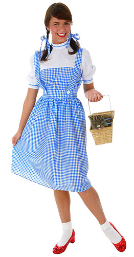 Dorothy Long Dress Costume