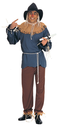 Plus Size Scarecrow Costume