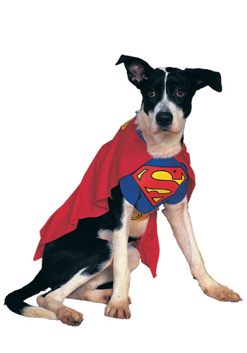 Superman Dog Costume