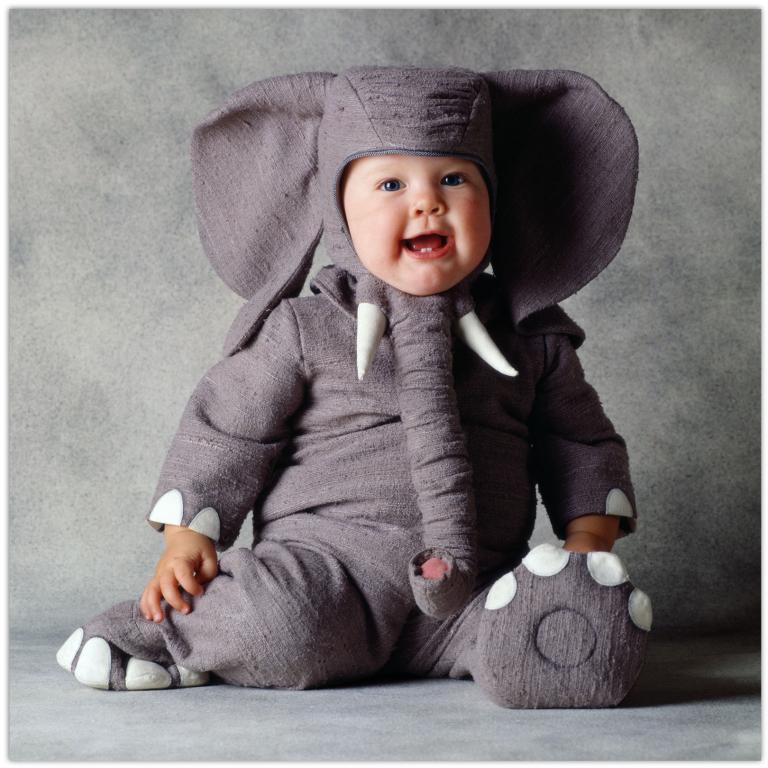 Tom Arma Elephant