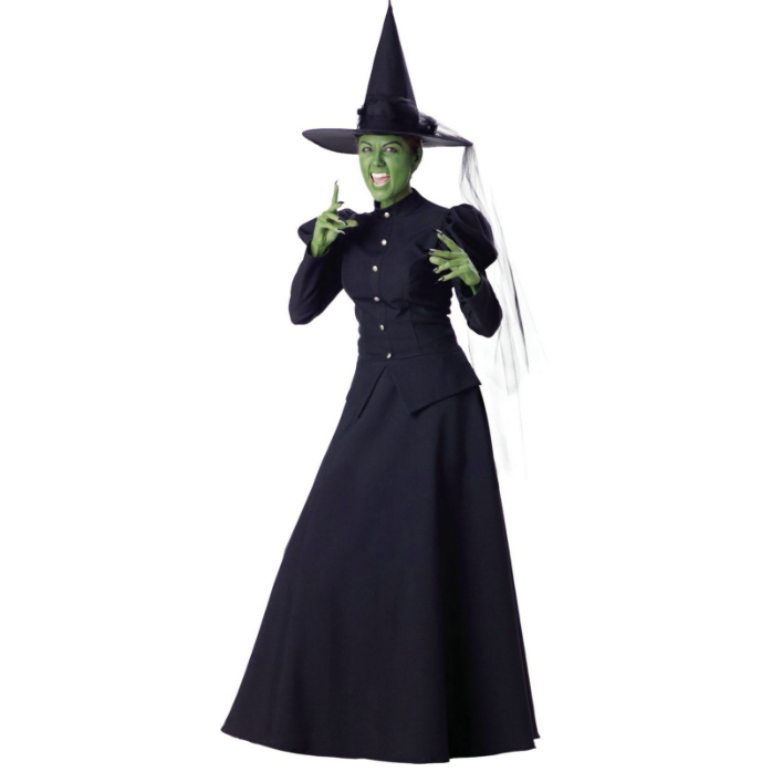 Wicked Witch Elite Collection Adult Costume