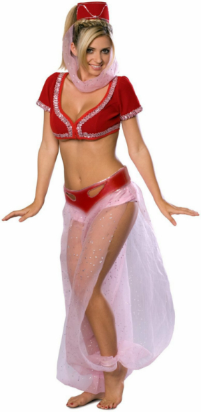 I Dream of Jeannie Costume