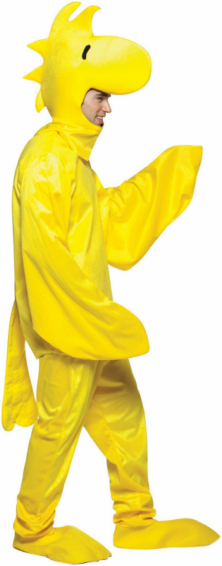 Peanuts Woodstock Adult Costume