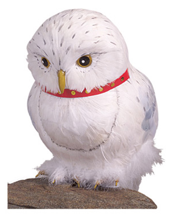 Hedwig Accessory