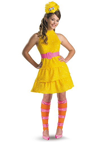 Teen Girls Big Bird Costume