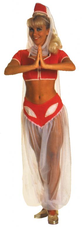 Jeannie Costume