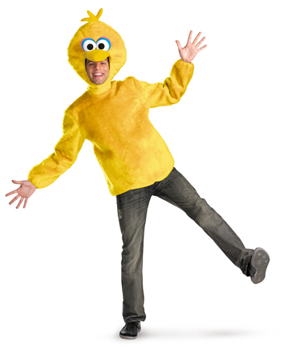 Big Bird Costume