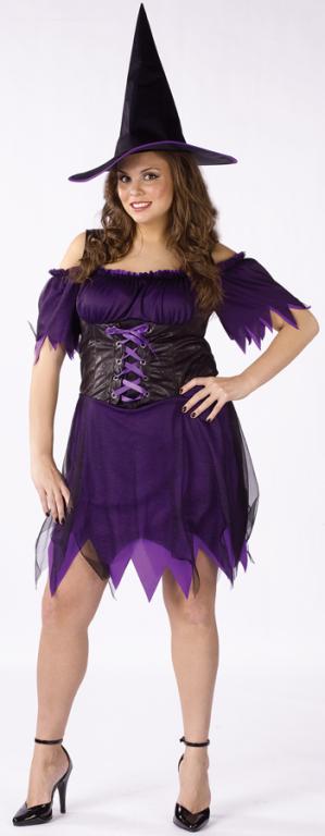 Dark Witch Plus Adult Costume