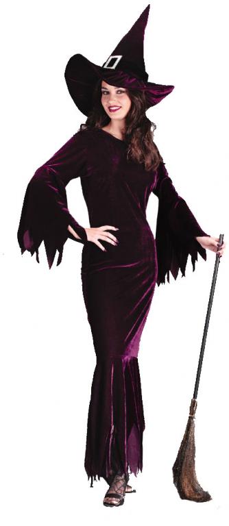 Elegant Plum Witch Adult Costume