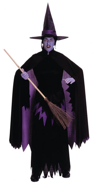 Wizard Of Oz Wicked Witch Of The West Adult Costume