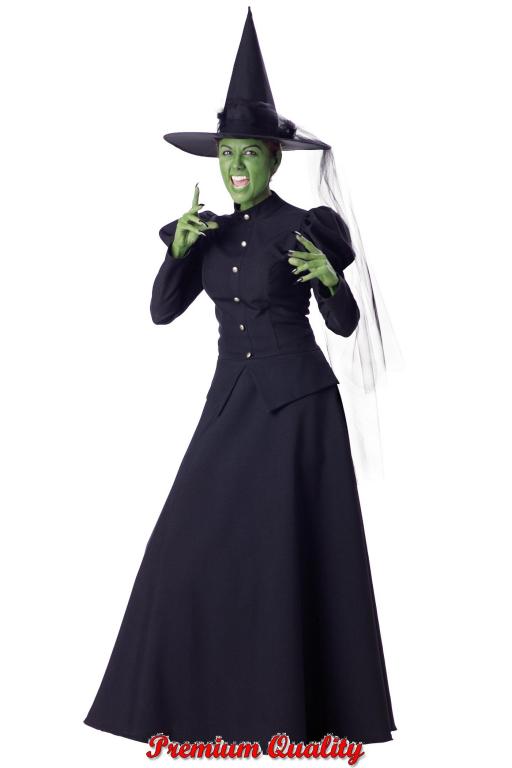 Wicked Witch Adult Costume