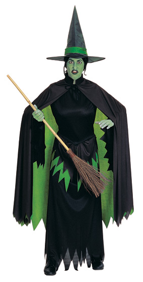 Wicked Witch Costume