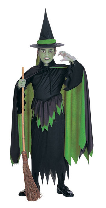 Wicked Witch Costume