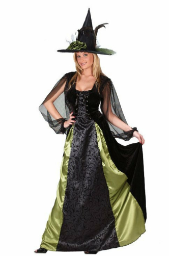 Goth Maiden Witch Adult Costume