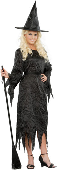 Black Witch Adult Costume