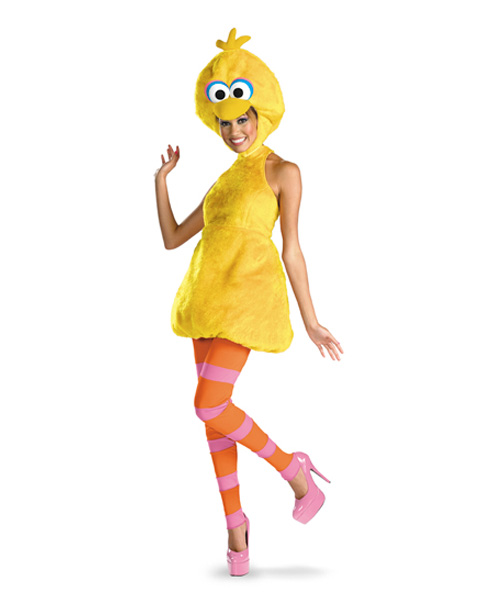 Sesame Street Big Bird Womens Costume